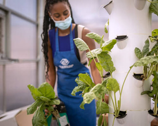 Girl with plants