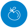 Apple icon