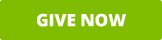 Give Now button