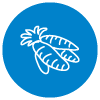 Veggie icon