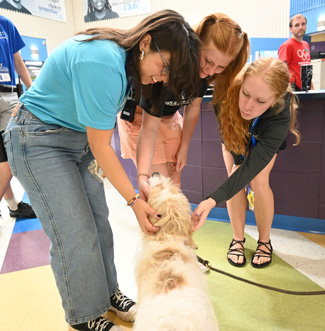 Club pet therapy