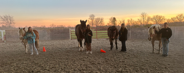 Equine therapy