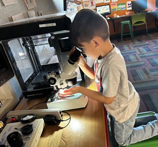Club kid using microscope