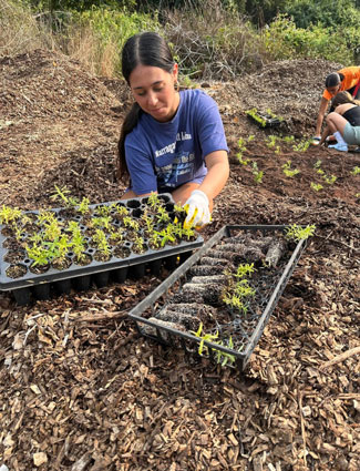Enter E3 (Environmental Education for Everyone) — Boys & Girls Club of Milford’s teen environmental stewardship group.
