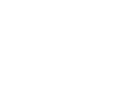 78 percent icon