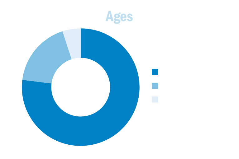 Age • 9 to 12 Years Old: 77% • 13 to 15 Years Old: 18% • 16 Years and Older: 5%